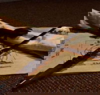 TRAPT Melbourne Alchemy II - The Final Run