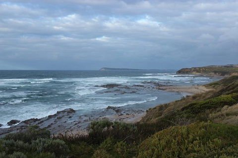 Wilsons Promontory Day Trip From Phillip Island - Accommodation Coffs Harbour 1
