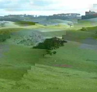 Day Tour of Phillip Island  Surrounding Region - Accommodation Coffs Harbour