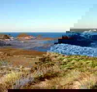 Phillip Island Walking  Bird Watching Tour - Accommodation Coffs Harbour