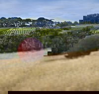 Estate to Plate Montalto Vineyard Gourmet Lunch and Wine-Tasting Tour - Accommodation Coffs Harbour