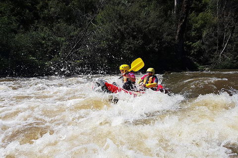 Whitewater Sports Rafting On The Yarra River - Accommodation Coffs Harbour 5