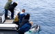 Phillip Island Whale Watching Tour - thumb 7