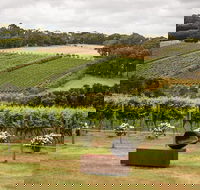 Montalto Vineyard Mornington Peninsula Discovery Wine Tasting and Lunch - Accommodation Coffs Harbour
