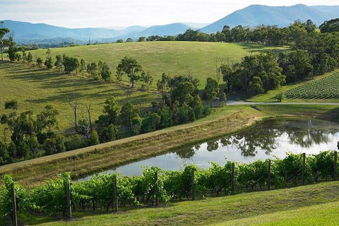 CHEVY CONVERTIBLE Package For 2 People- Wine Lunch Cheese & Chocolate From Melb. - Accommodation Coffs Harbour 9