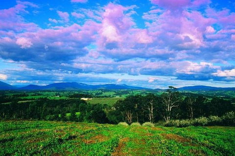 CHEVY CONVERTIBLE Package For 2 People- Wine Lunch Cheese & Chocolate From Melb. - Accommodation Coffs Harbour 7