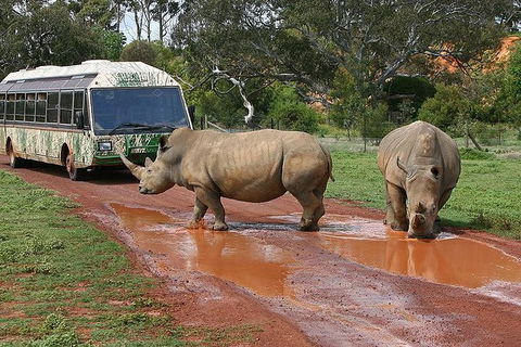 Melbourne Attractions Pass Including Melbourne Zoo, Hop-on Hop-off Bus And SEA LIFE Aquarium - Accommodation Coffs Harbour 13