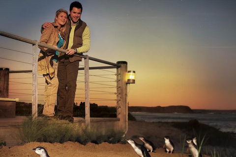 Melbourne Attractions Pass Including Melbourne Zoo, Hop-on Hop-off Bus And SEA LIFE Aquarium - Accommodation Coffs Harbour 10