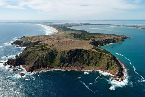 Phillip Island Helicopter Tour - Accommodation Coffs Harbour 7