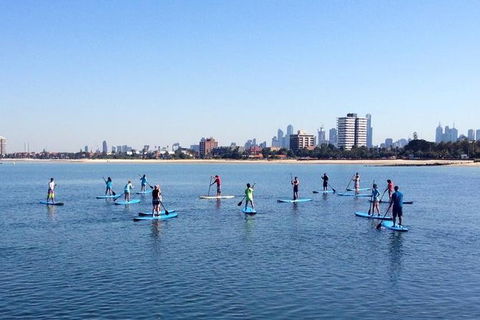 Stand-Up Paddle Board Group Lesson At St Kilda - Accommodation Coffs Harbour 0