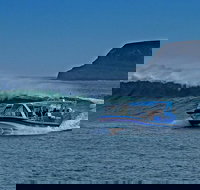 Phillip Island Wildlife Cruise with Optional Penguin Parade and 3 Park Pass - Accommodation Coffs Harbour