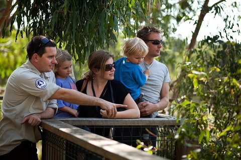 Phillip Island Koala Conservation Centre: Entry Ticket - Accommodation Coffs Harbour 1
