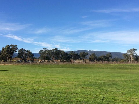 Yarra Valley Wineries And Puffing Billy Steam Train Tour From Melbourne - Accommodation Coffs Harbour 17