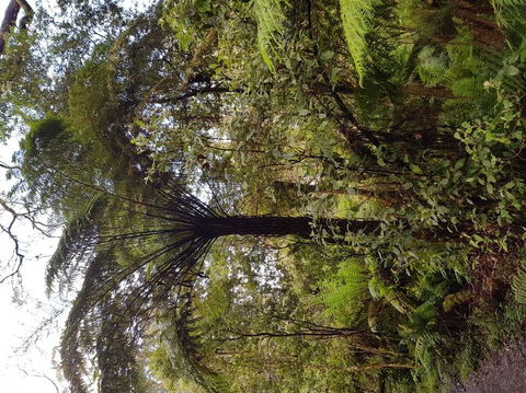 Yarra Valley Wineries And Puffing Billy Steam Train Tour From Melbourne - Accommodation Coffs Harbour 7