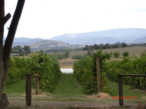 Yarra Valley Wineries And Puffing Billy Steam Train Tour From Melbourne - Accommodation Coffs Harbour 25