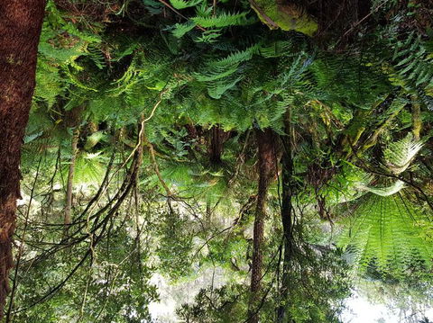 Yarra Valley Wineries And Puffing Billy Steam Train Tour From Melbourne - Accommodation Coffs Harbour 6