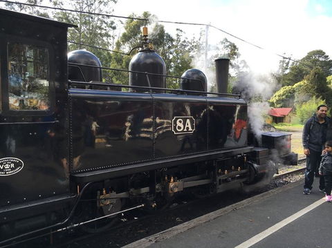 Yarra Valley Wineries And Puffing Billy Steam Train Tour From Melbourne - Accommodation Coffs Harbour 13