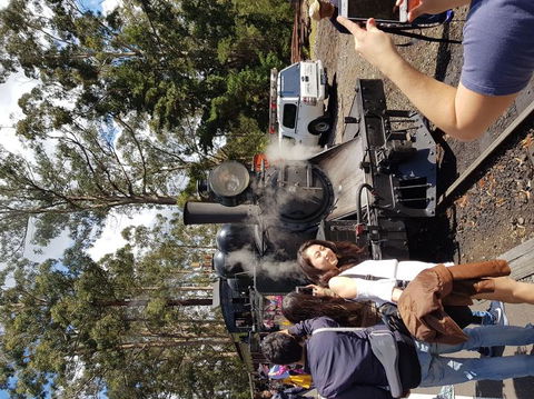 Yarra Valley Wineries And Puffing Billy Steam Train Tour From Melbourne - Accommodation Coffs Harbour 5