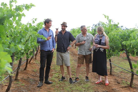 Yarra Valley Wineries And Puffing Billy Steam Train Tour From Melbourne - Accommodation Coffs Harbour 29