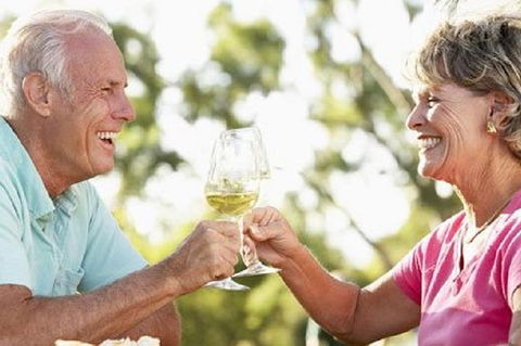 Phillip Island Wine Experience Tour - Accommodation Coffs Harbour 1