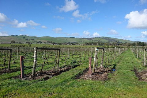 Phillip Island Wine Experience Tour - Accommodation Coffs Harbour 4