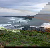 Half Day Phillip Island Woolamai Walking Tour - Accommodation Coffs Harbour