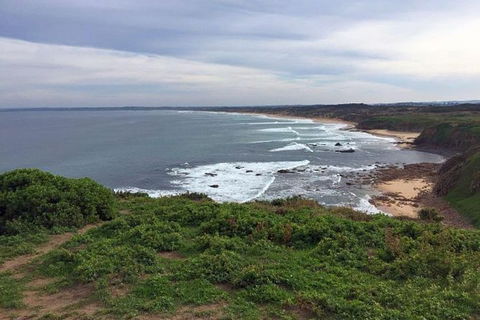 Half Day Phillip Island Woolamai Walking Tour - Accommodation Coffs Harbour 0