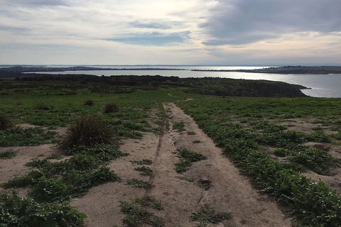 Half Day Phillip Island Woolamai Walking Tour - Accommodation Coffs Harbour 8