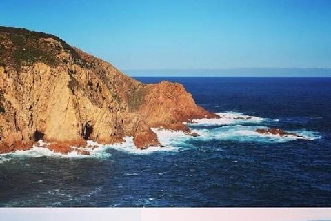 Half Day Phillip Island Woolamai Walking Tour - Accommodation Coffs Harbour 6