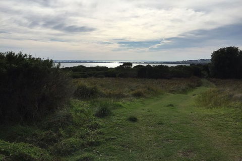 Half Day Phillip Island Woolamai Walking Tour - Accommodation Coffs Harbour 4