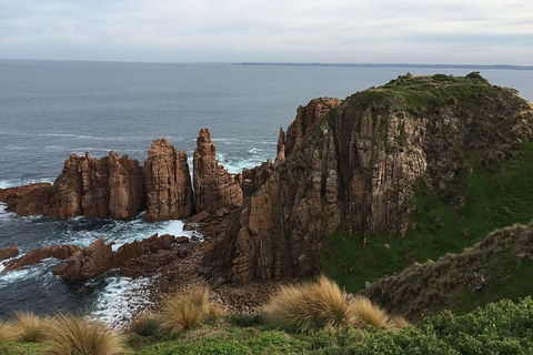 Half Day Phillip Island Woolamai Walking Tour - Accommodation Coffs Harbour 16