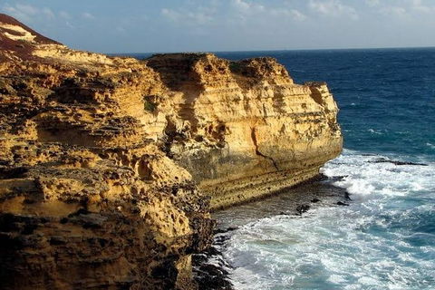 Half Day Phillip Island Woolamai Walking Tour - Accommodation Coffs Harbour 12