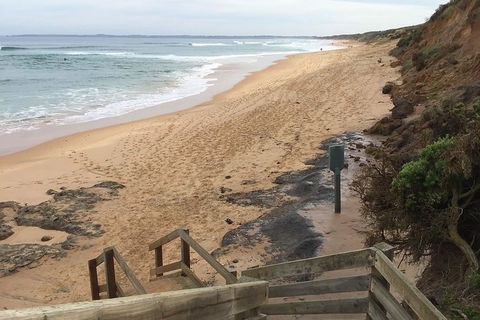 Half Day Phillip Island Woolamai Walking Tour - Accommodation Coffs Harbour 11