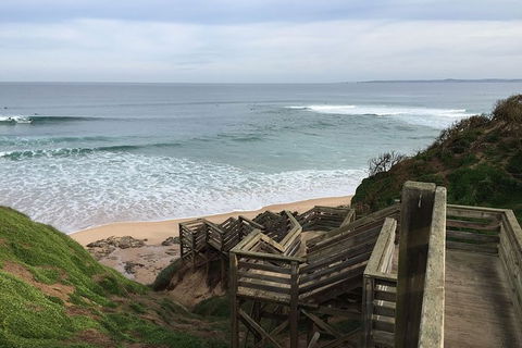 Half Day Phillip Island Woolamai Walking Tour - Accommodation Coffs Harbour 5