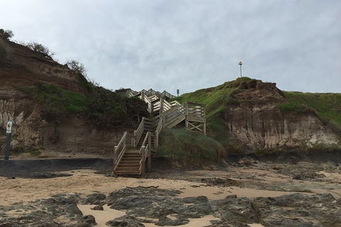 Half Day Phillip Island Woolamai Walking Tour - Accommodation Coffs Harbour 14