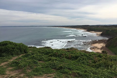 Half Day Phillip Island Woolamai Walking Tour - Accommodation Coffs Harbour 10
