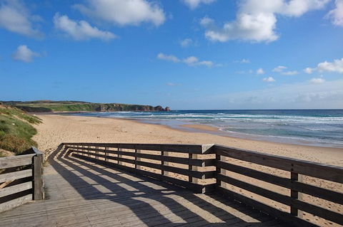 Half Day Phillip Island Woolamai Walking Tour - Accommodation Coffs Harbour 15