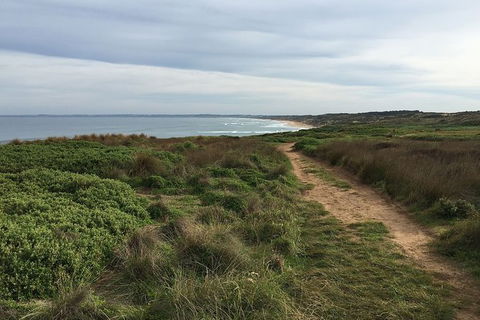 Half Day Phillip Island Woolamai Walking Tour - Accommodation Coffs Harbour 3