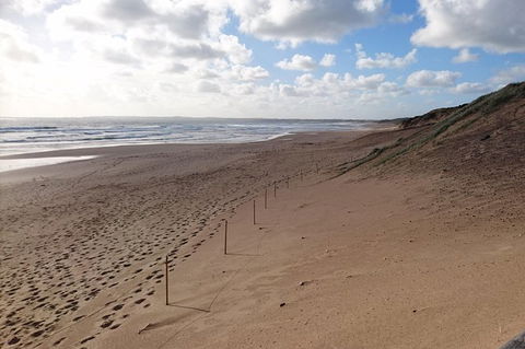Half Day Phillip Island Woolamai Walking Tour - Accommodation Coffs Harbour 7
