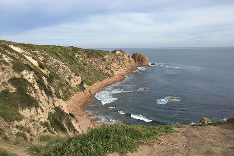 Half Day Phillip Island Woolamai Walking Tour - Accommodation Coffs Harbour 2