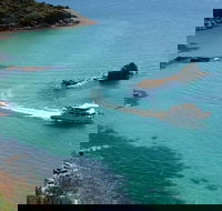 Cape Woolamai Sightseeing Cruise from San Remo - Accommodation Coffs Harbour