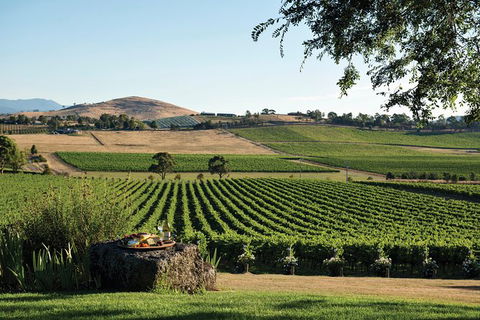 Small Group 6 Guests: Ultimate Yarra Valley Food And Wine - Mercedes Van - Accommodation Coffs Harbour 5