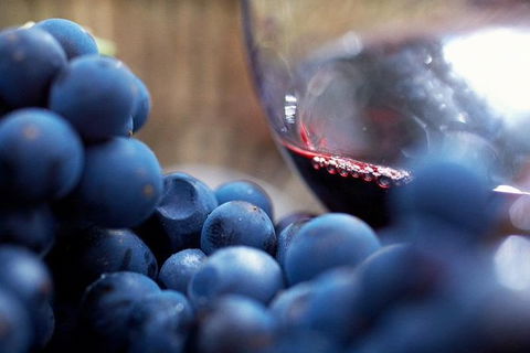 Small Group 6 Guests: Ultimate Yarra Valley Food And Wine - Mercedes Van - Accommodation Coffs Harbour 4