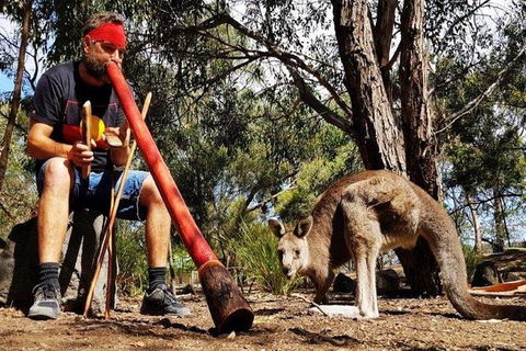 Bellarine Peninsula Sightseeing And Bay Cruise - Accommodation Coffs Harbour 0