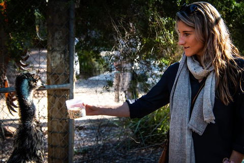 Bellarine Peninsula Sightseeing And Bay Cruise - Accommodation Coffs Harbour 5