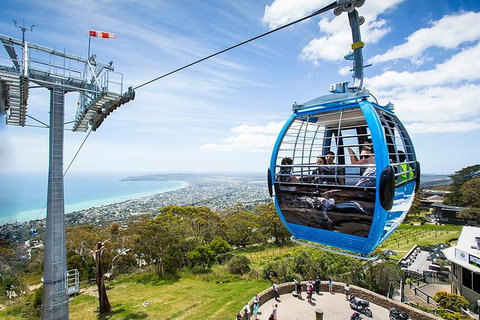 Around The Bay Food And Wine Taste Trail - Accommodation Coffs Harbour 8