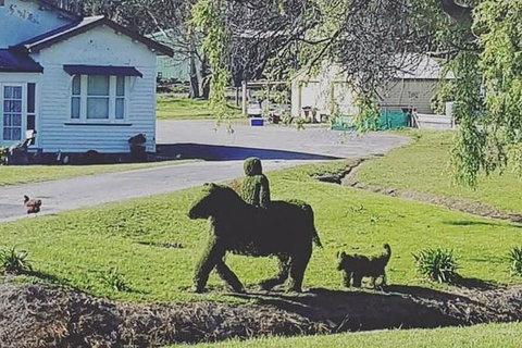 Cradle Mountain Day Tour From Launceston Including Lunch - Accommodation Coffs Harbour 5