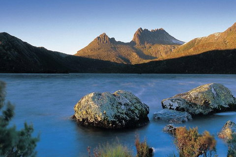 Cradle Mountain Day Tour From Launceston Including Lunch - Accommodation Coffs Harbour 4