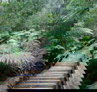 Small-group DayTour from Hobart Hastings Caves Huon Valley and Tahune AirWalk - Accommodation Coffs Harbour