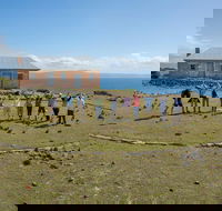 Maria Island Active Day Trip from Hobart - Accommodation Coffs Harbour